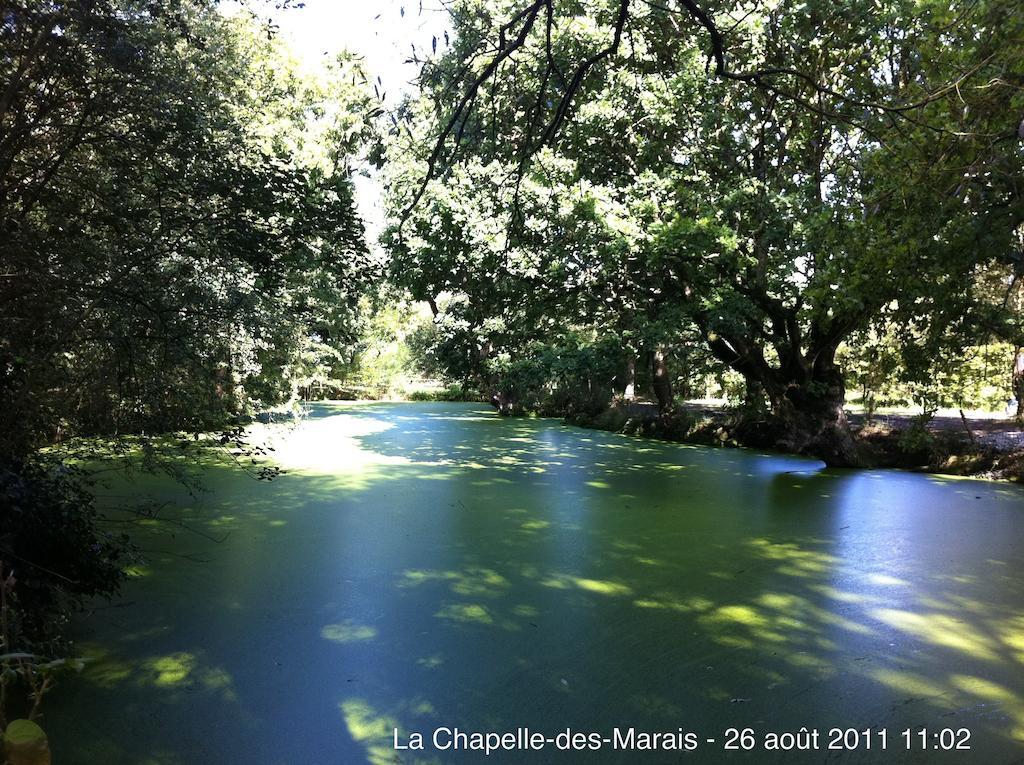 Saint-Molf La Balade Des Marais Bed & Breakfast エクステリア 写真