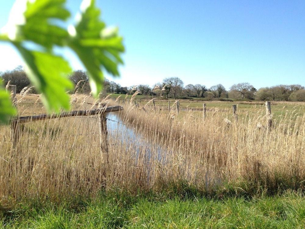Saint-Molf La Balade Des Marais Bed & Breakfast エクステリア 写真